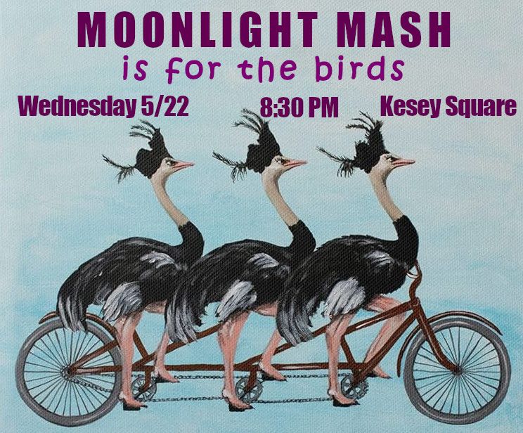 Moonlight Mash is for the Birds