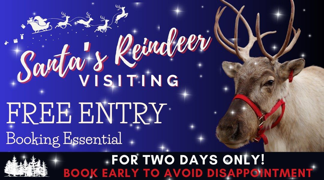 Christmas Open Day with Santa's Reindeer!