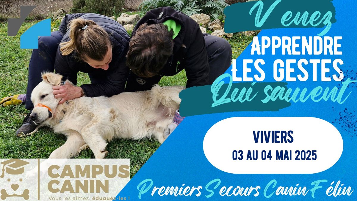 Formation aux Premiers Secours pour Chien et Chat \u00e0 VIVIERS