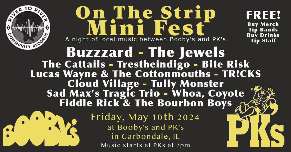 On The Strip - Mini Music Fest in Carbondale