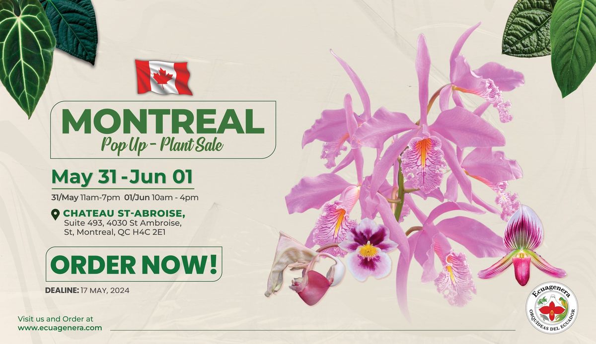 Montreal Pop up - Plant Sale