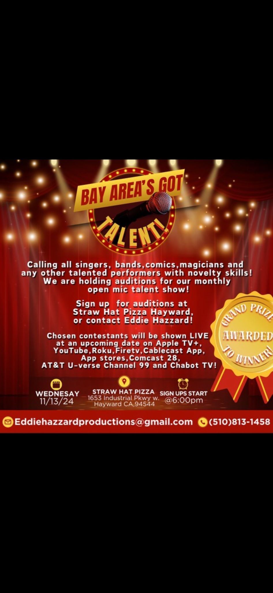 \u201cBay Area\u2019s Got Talent\u201d talent show auditions 