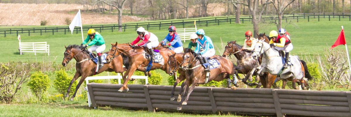 The 2024 Virginia Gold Cup Races