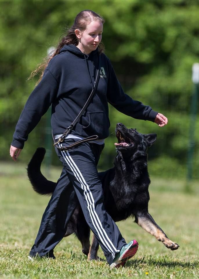 Sequoyah K9 Academy WDA Family Obedience Trial