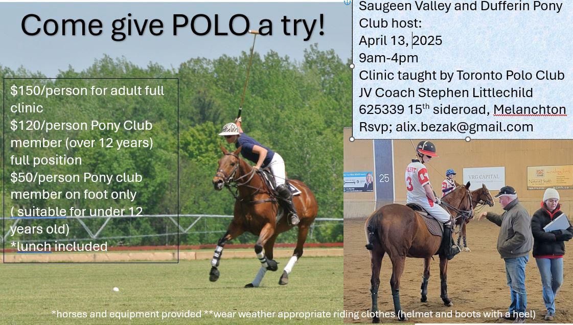 Polo clinic 