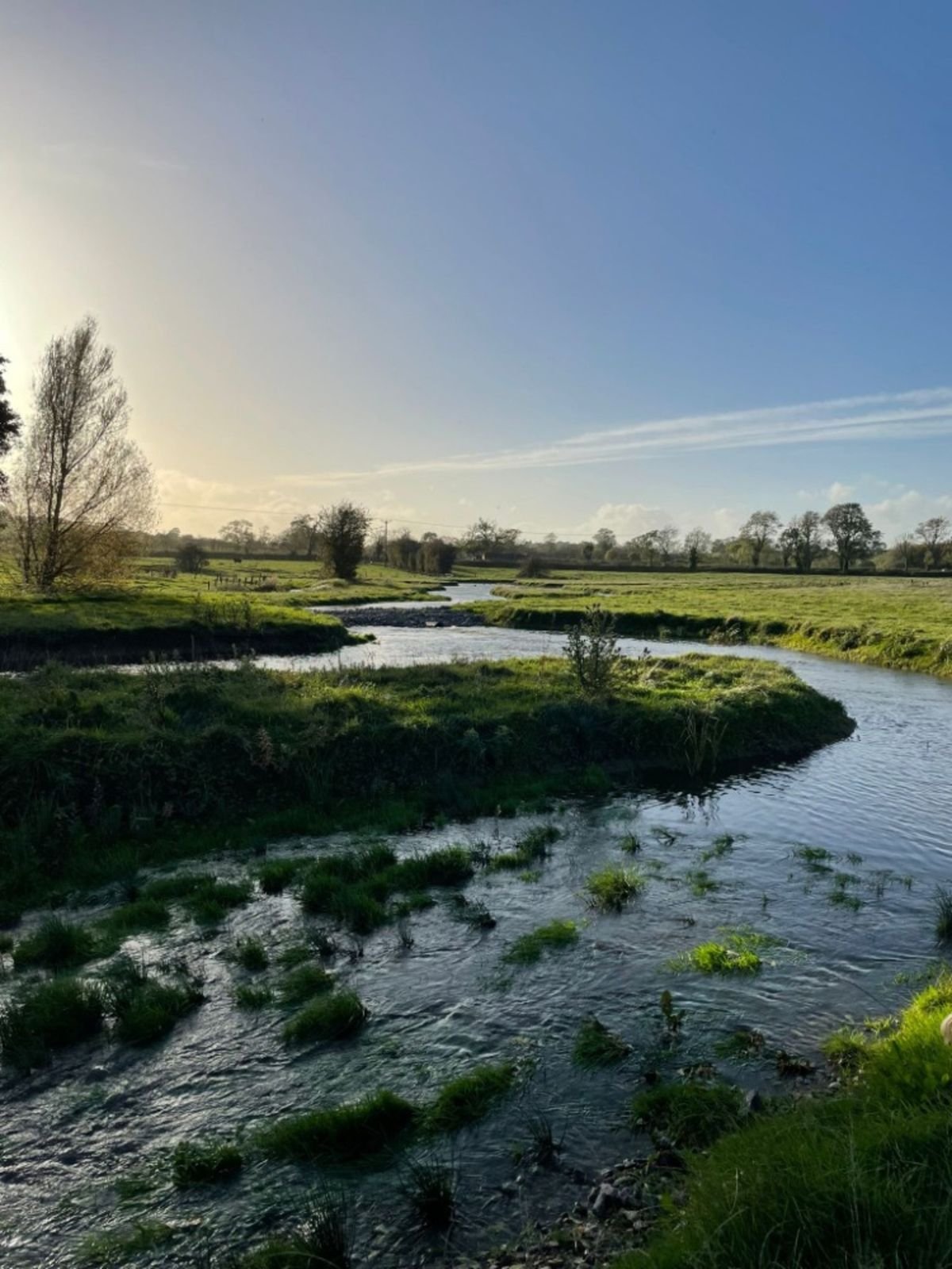 SMEETON WESTERBY NATURE PROJECT         Tree Planting event