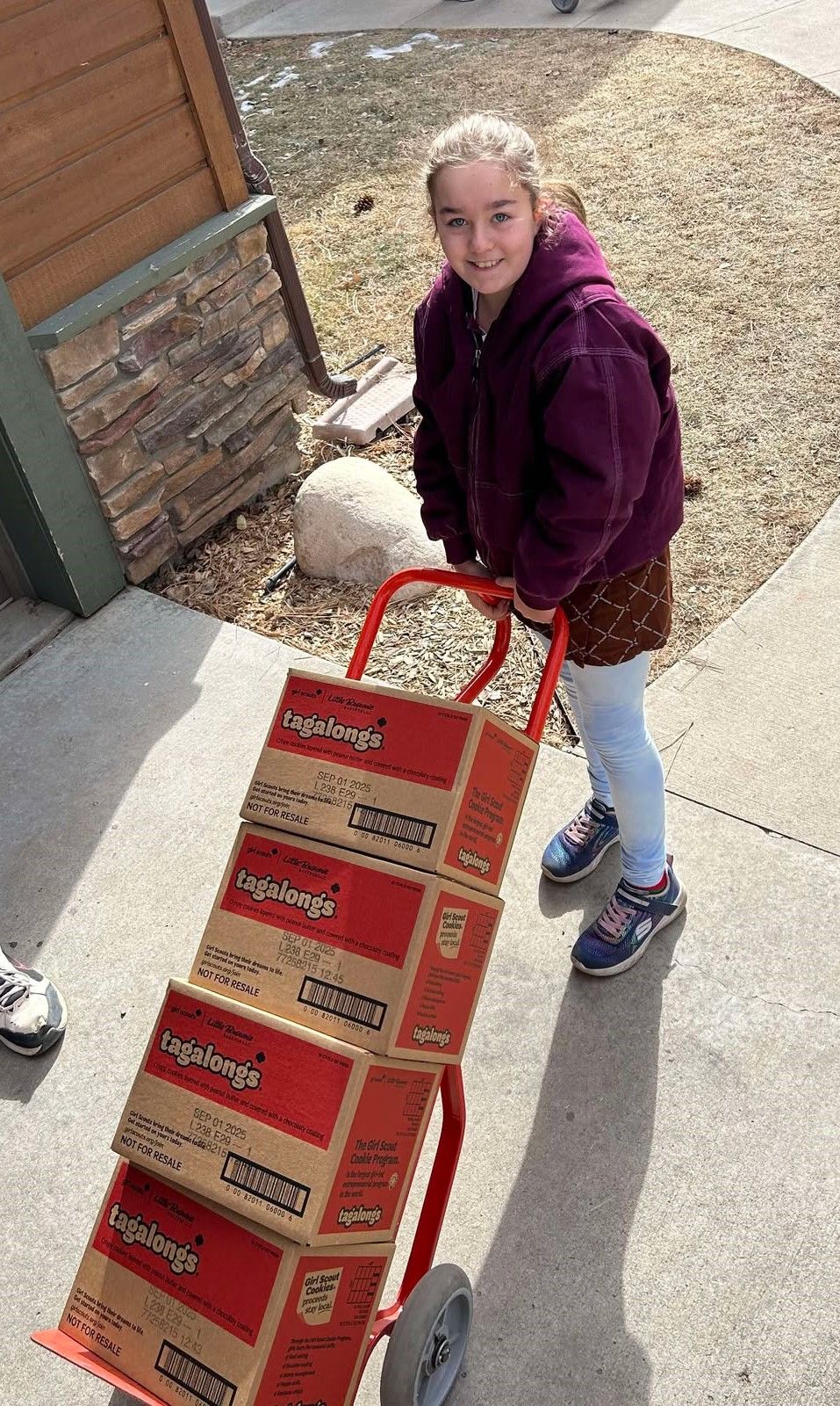 Girl Scout Cookie Booth