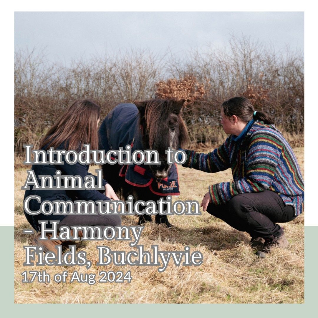 Introduction to Animal Communication - Harmony Fields, Buchlyvie
