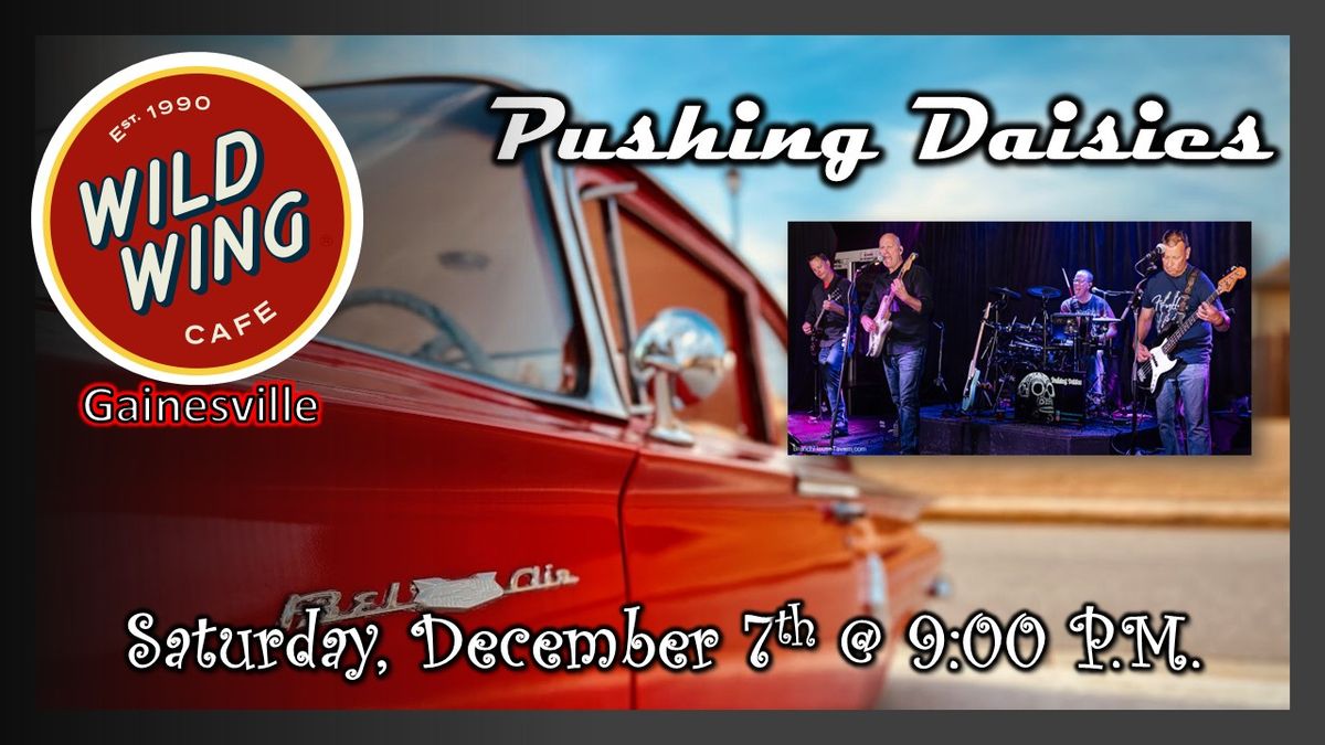 Pushing Daisies LIVE at Wild Wing Cafe' (Gainesville)