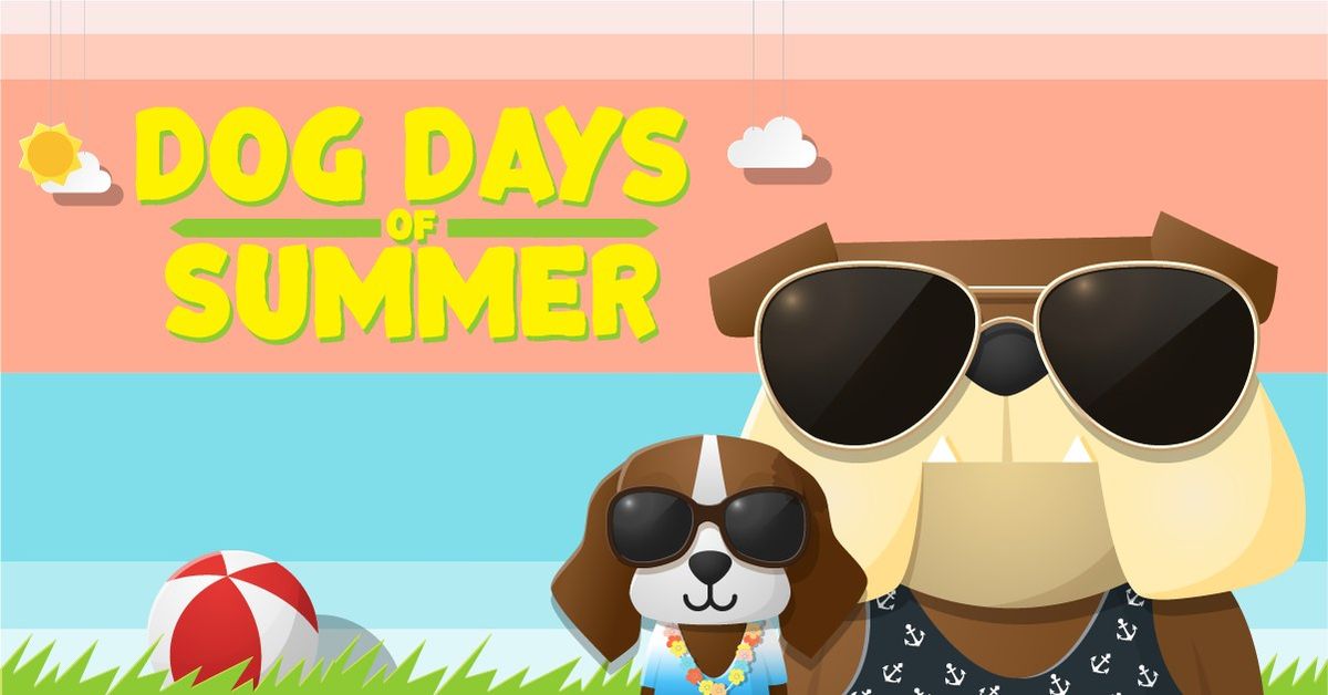 Dog Days of Summer - North Park