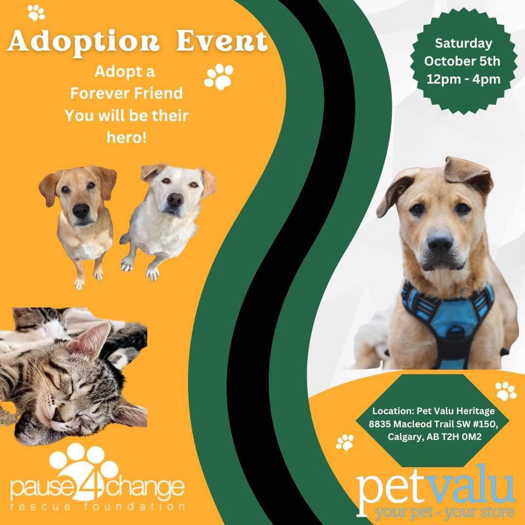 ADOPTION EVENT - Pet Valu Heritage 