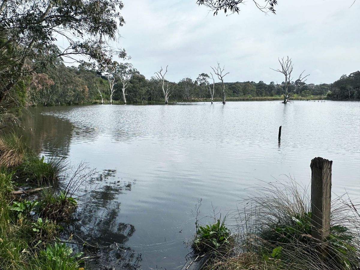 Alan Noy: The man behind the Alan Noy Wetland 