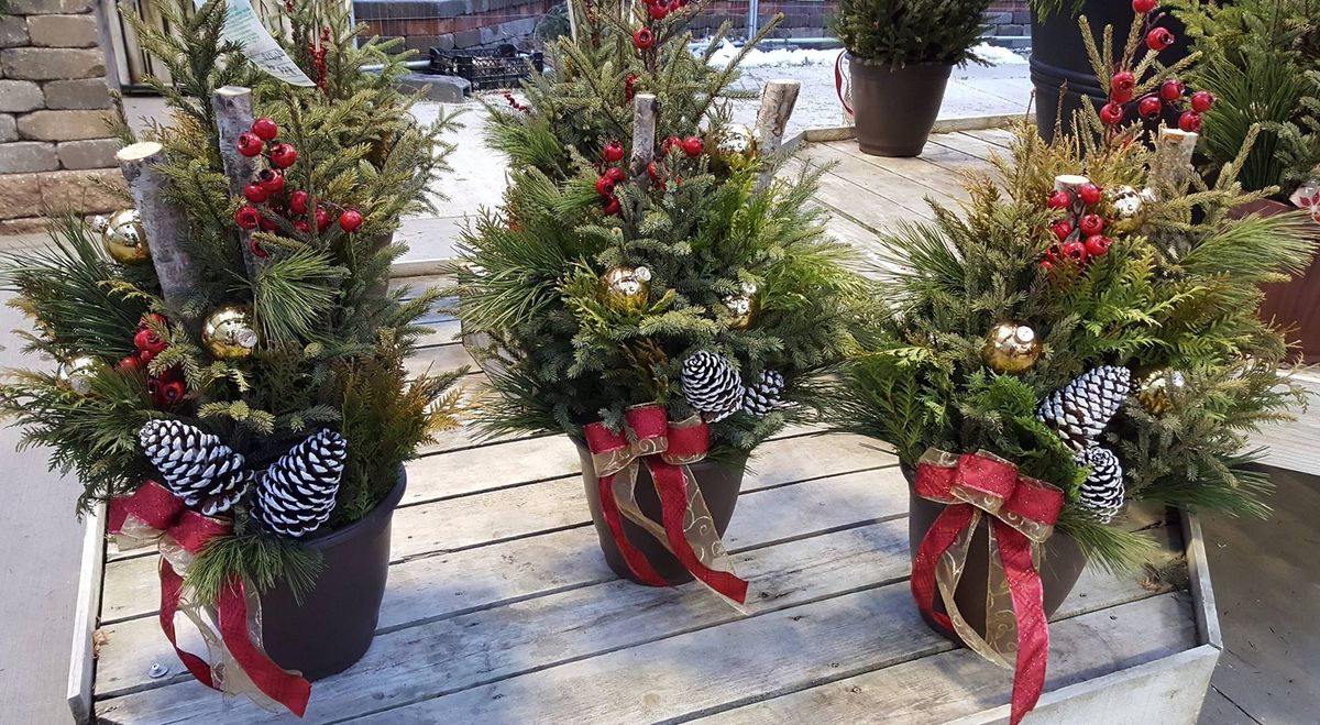 FULL-Winter Porch Planter  Cost $35