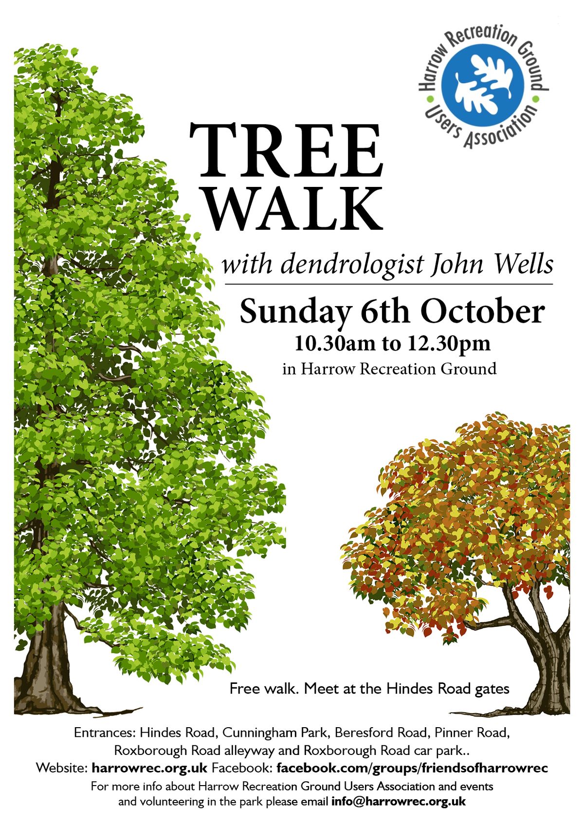 Autumn Tree Walk