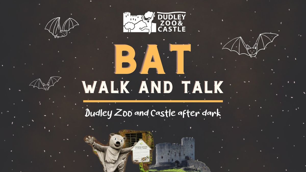 Bat Walk & Talk