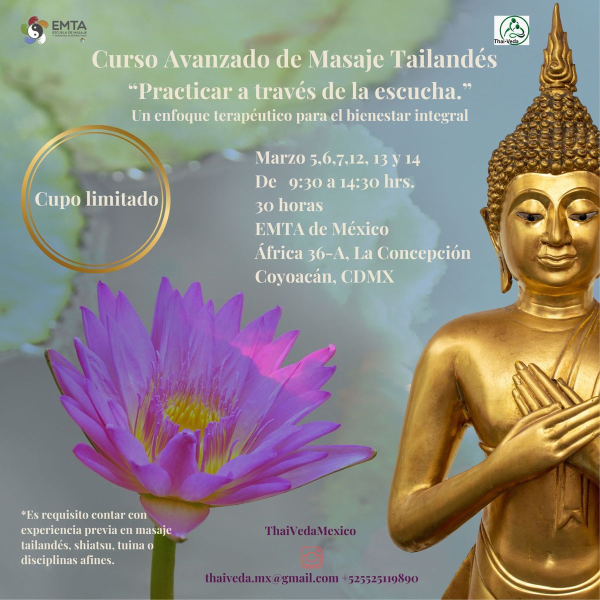 Curso Avanzado de Masaje Tailand\u00e9s