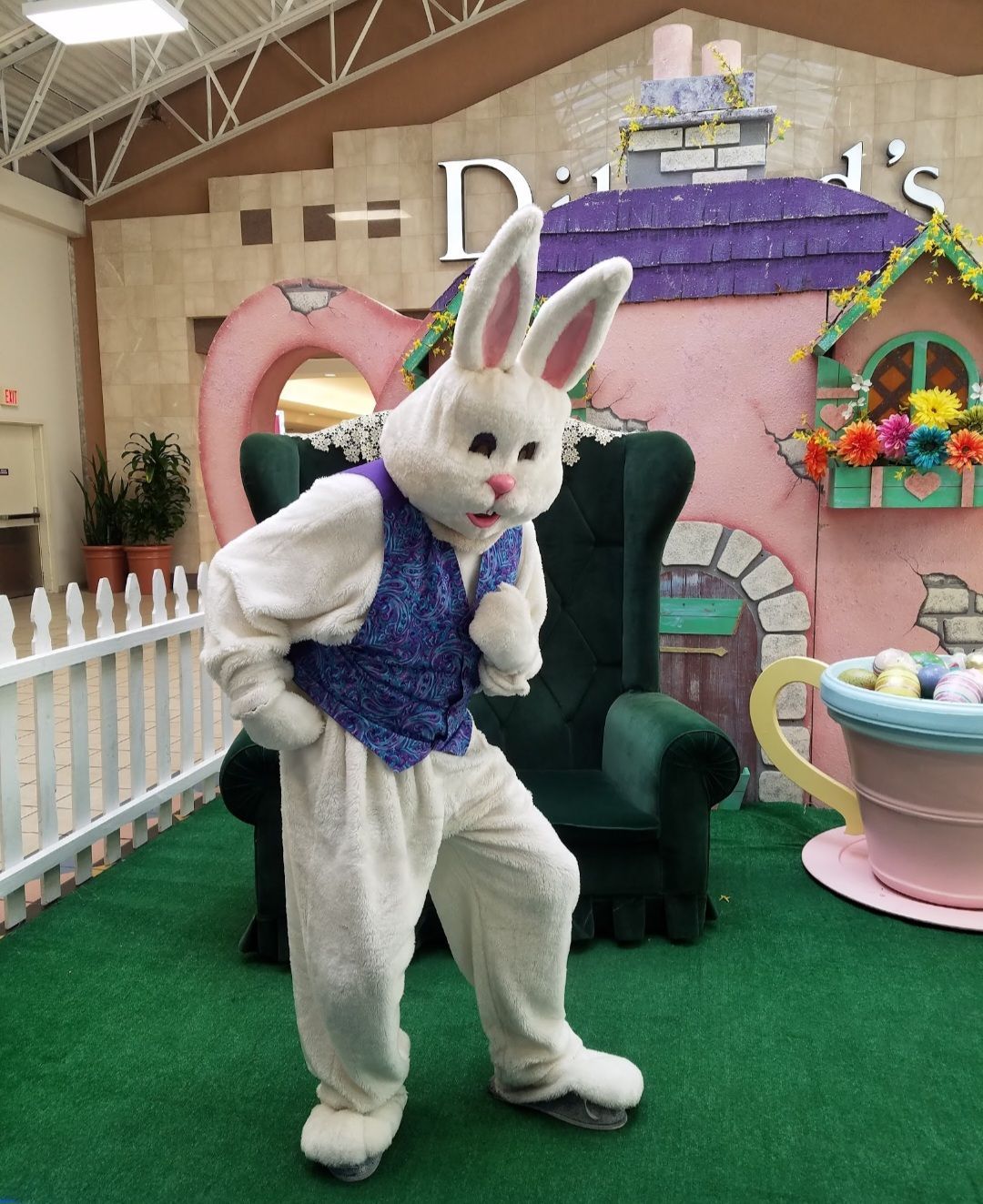 Easter Bunny Photos