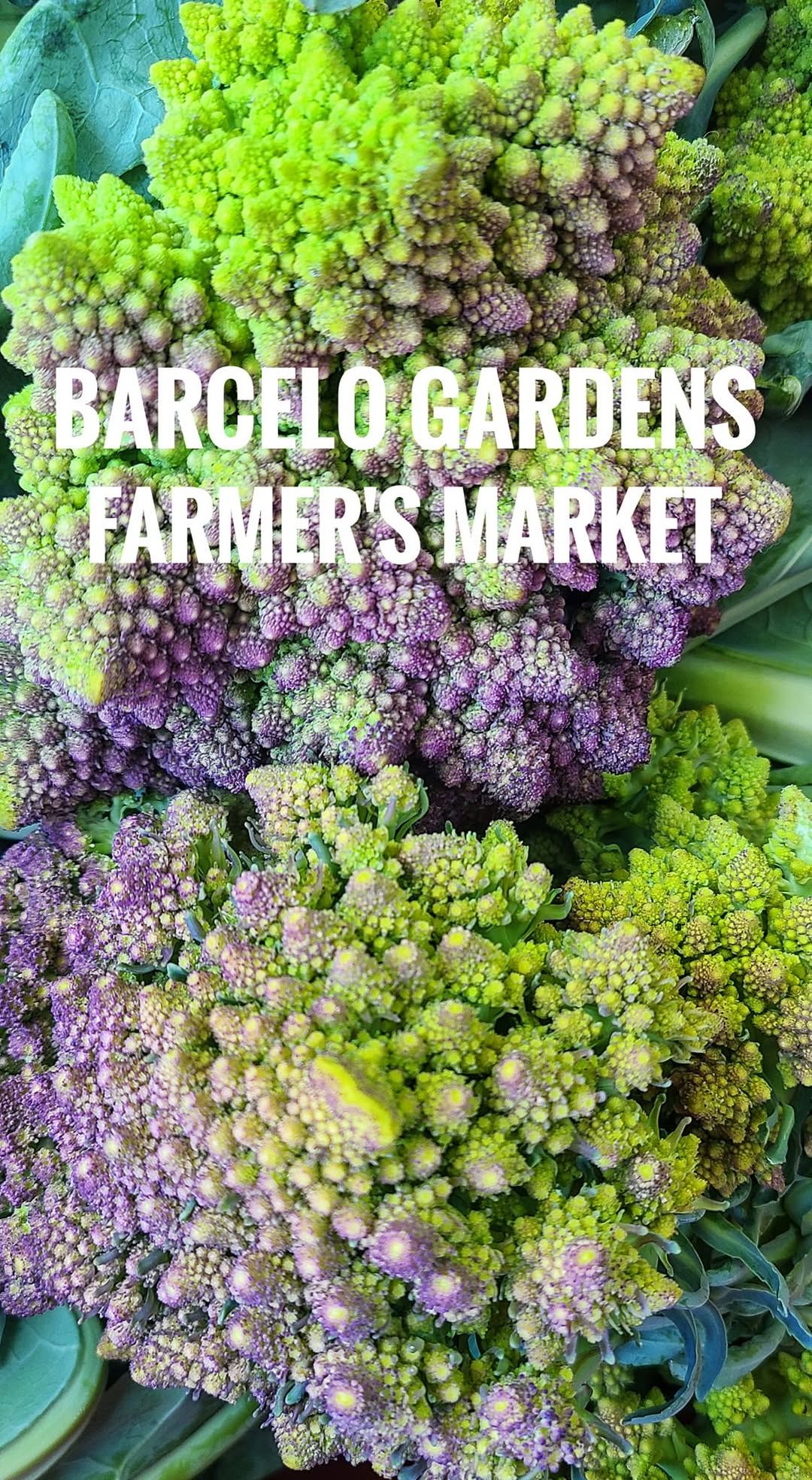 Barcelo Gardens Farmer's Market (9th Ward Garden Location)