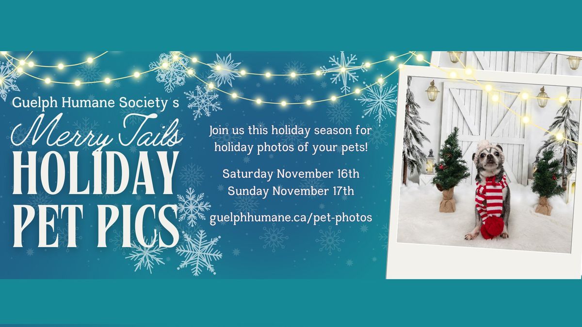 Merry Tails Holiday Pet Pics