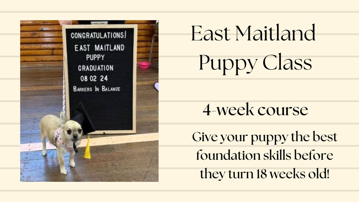 East Maitland Puppy School