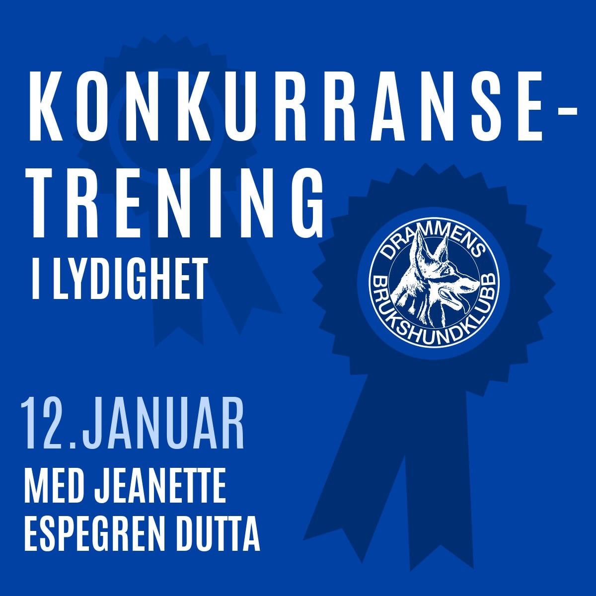 Fullt! Konkurransetrening lydighet 