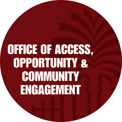 Access, Opportunity, and Community Engagement
