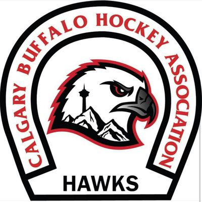 U16AA Hawks