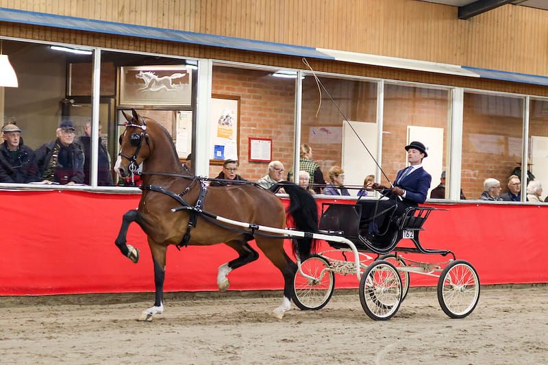 Twentse Tuigpaardendag 2025