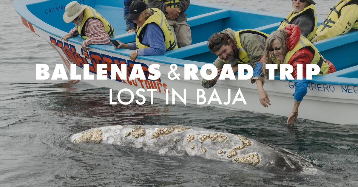 BALLENAS & Road Trip Lost In Baja