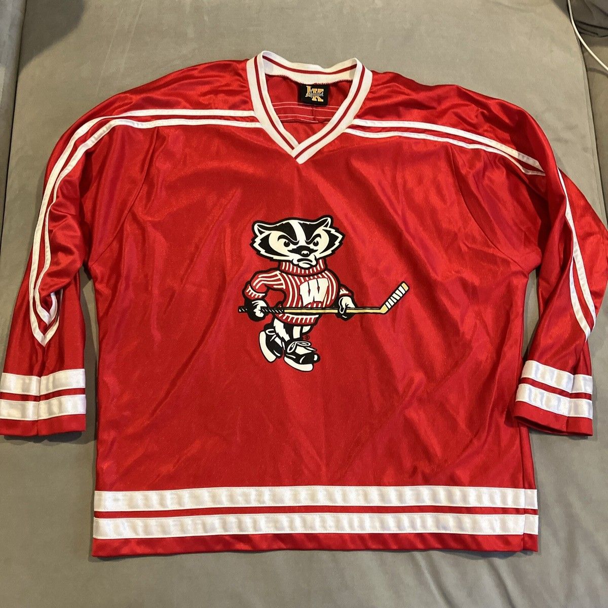 Michigan Wolverines at Wisconsin Badgers Mens Hockey at Kohl Center