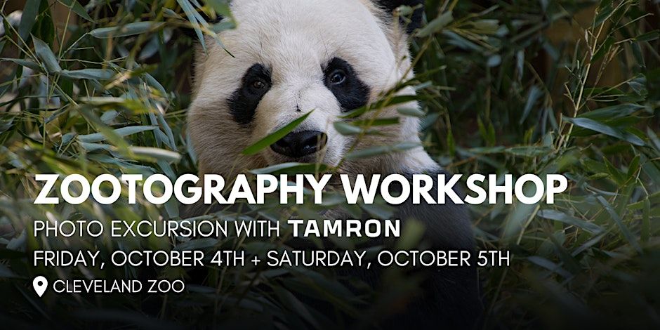 Zootography Workshop - Cleveland Metroparks Zoo