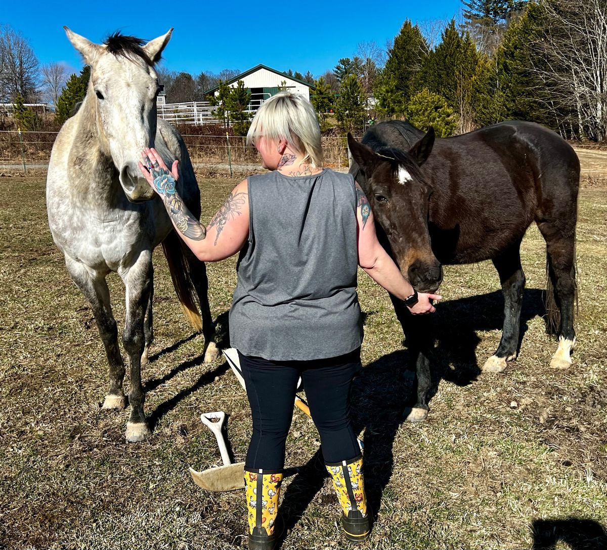 Adult Equine Assisted Learning Series