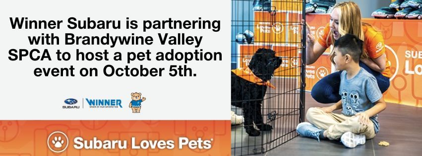 Subaru Loves Pets Adoption Event