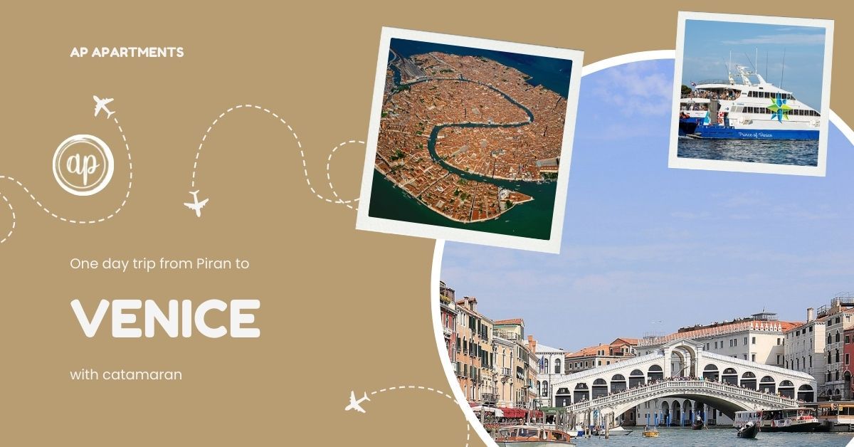 Trip from Piran to Venice with catamaran