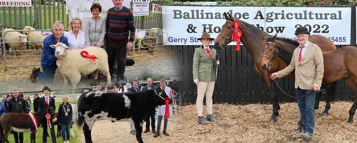  Ballinasloe Agricultural Show 2024