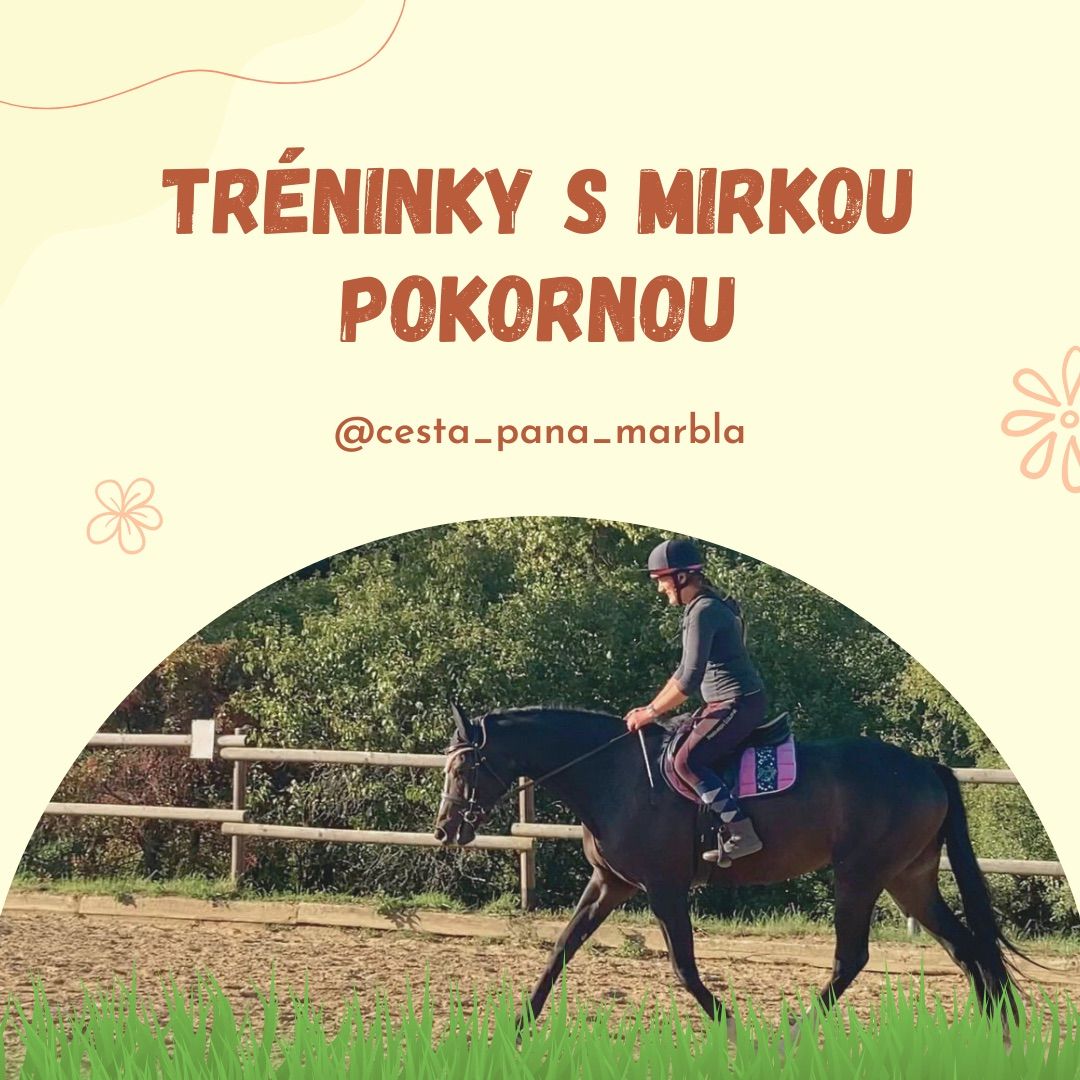 Tr\u00e9ninky s Mirkou Pokornou 