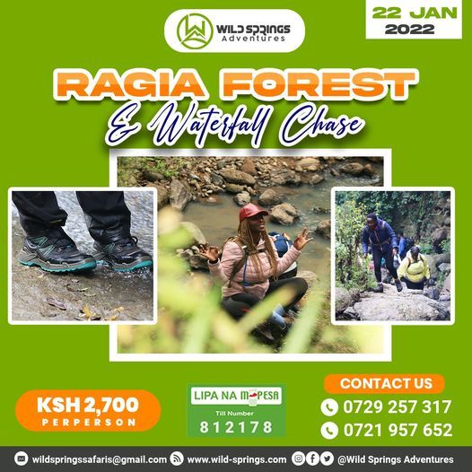 Ragia Forest & Waterfalls Chase