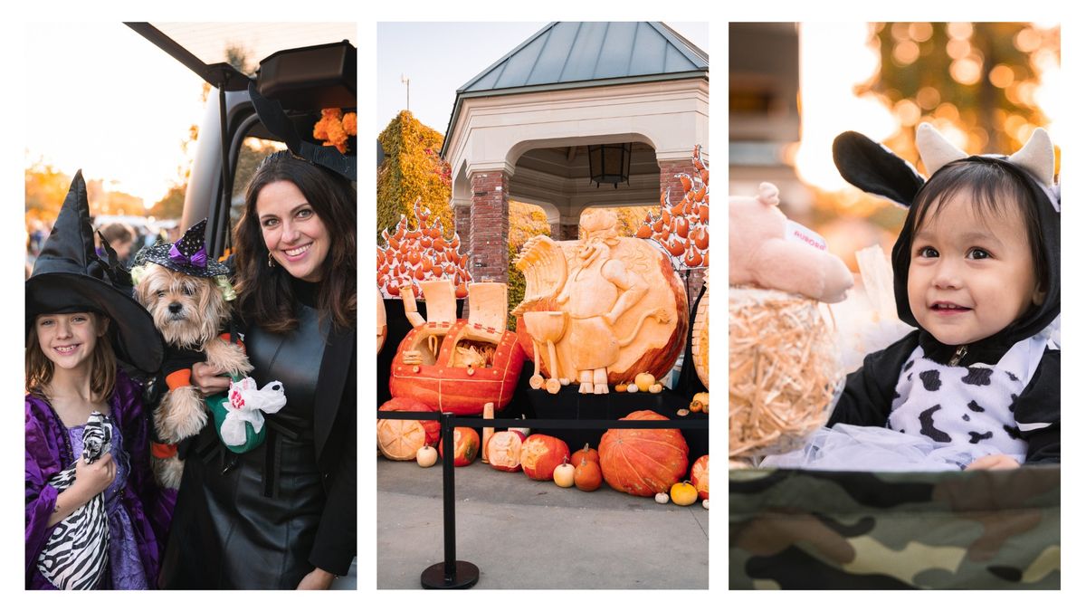 Downtown Trunk or Treat Presented by Ennis Chamber of Commerce