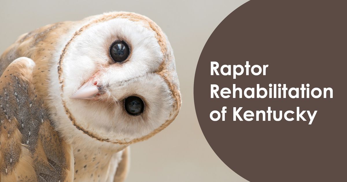 Raptor Rehabilitation of Kentucky 