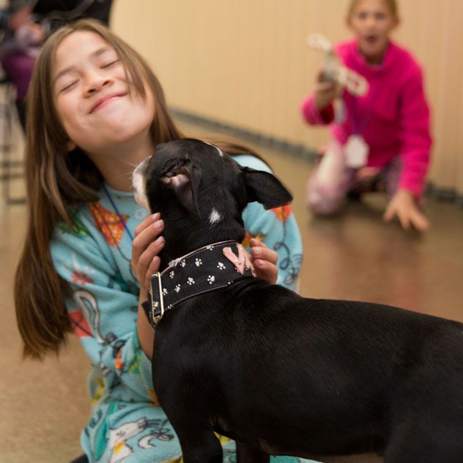 Pets & Pajamas