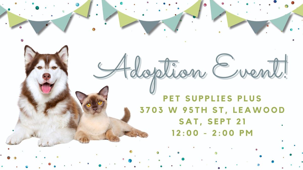 Pet Supplies Plus Leawood Adoption Event 