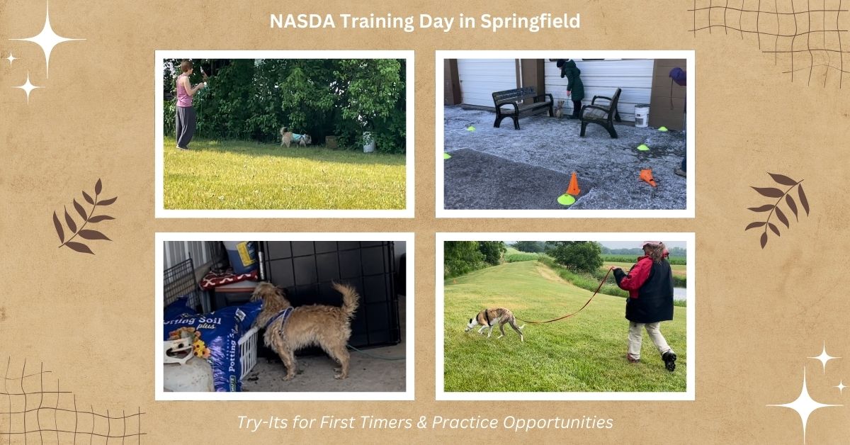 NASDA Training Day