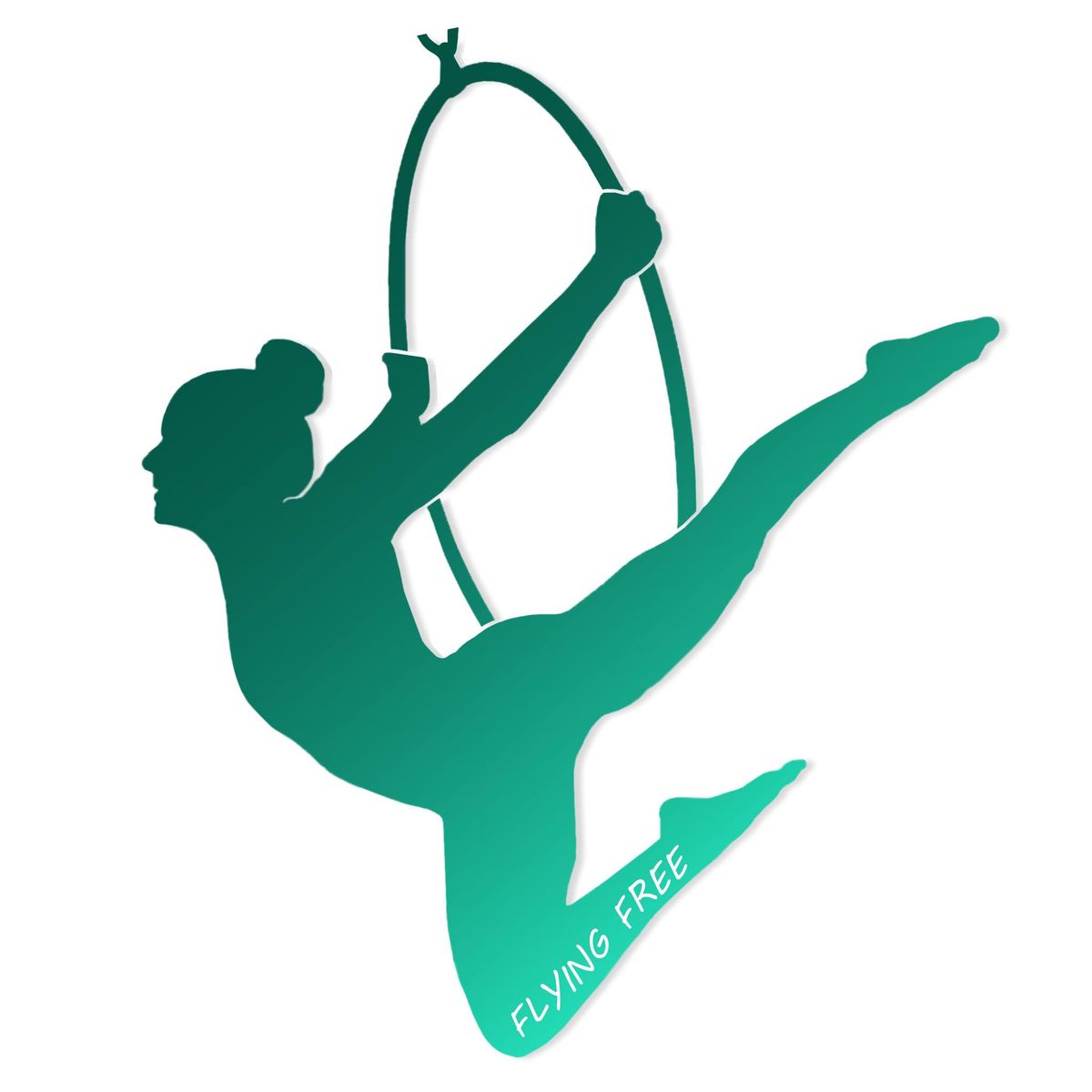 Adult Aerial Hoop Intermediates