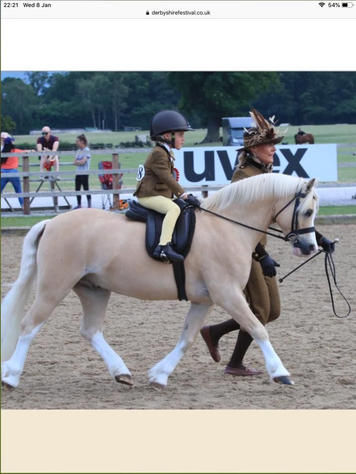 Derbyshire Festival Spring Show