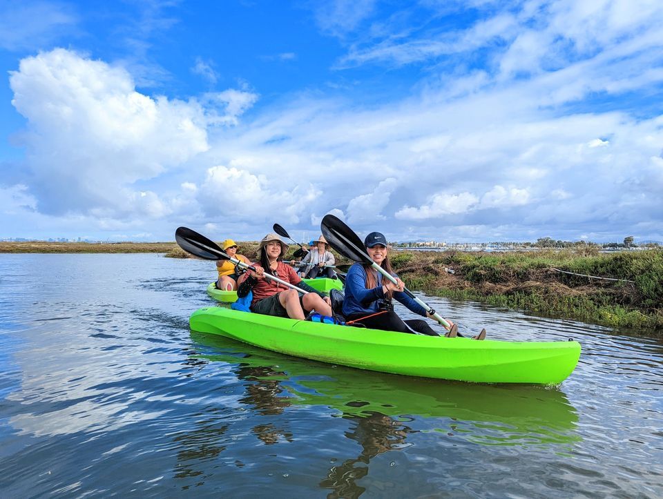 Wildlife Kayaking Eco Tour