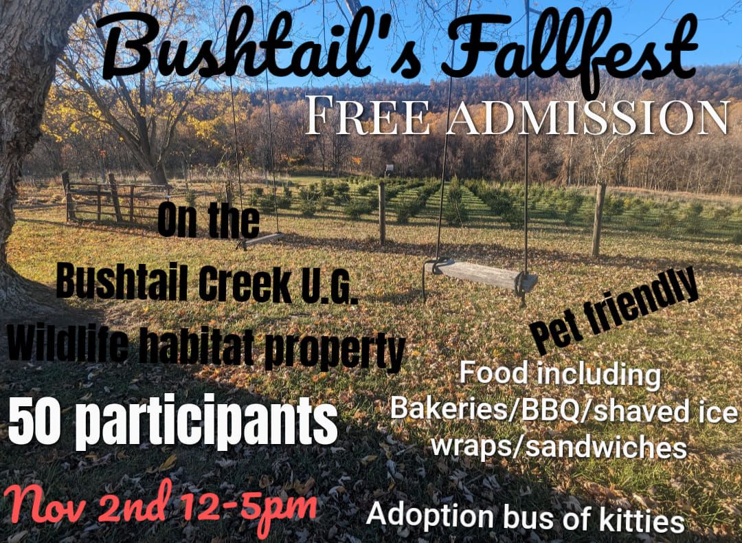 Bushtail's Fallfest 2024