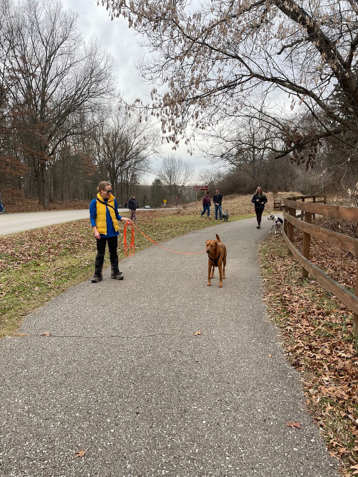 Traveling Pack Walk (AKC Fit Dog)