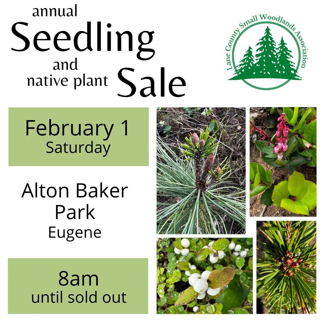 Annual Seedling & Native Plant Sale