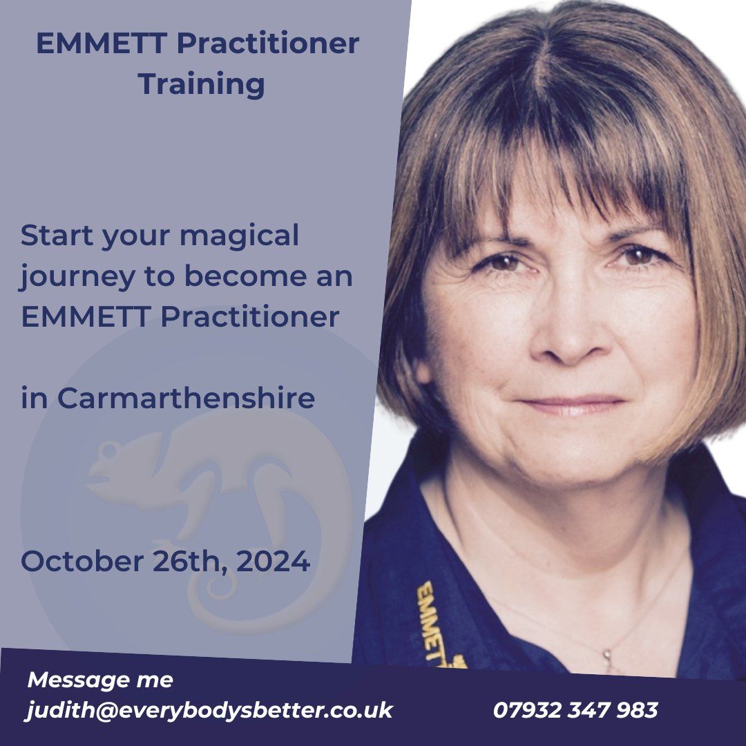 Emmett Practitioner course