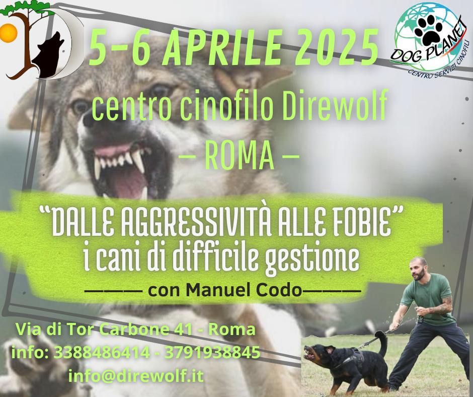 Dalle aggressivit\u00e0 alle fobie - I cani di difficile gestione